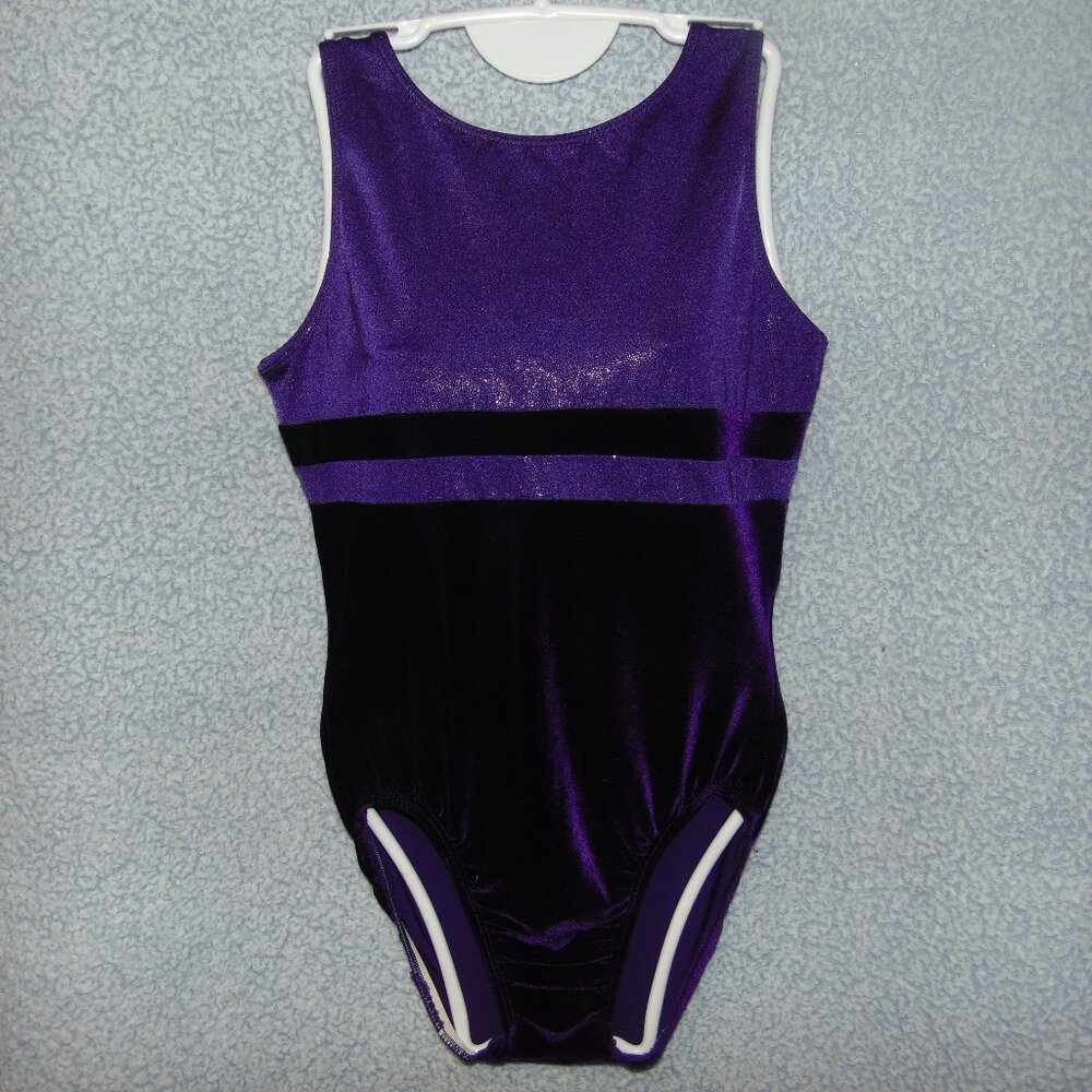 Purple Sparkle and Velvet Leotard